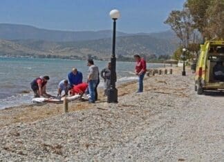 Νεκρή 75χρονη λουόμενη στο Πευκοχώρι Χαλκιδικής