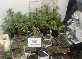 Σύλληψη άνδρα για ναρκωτικά στο Δήμο Φαιστού