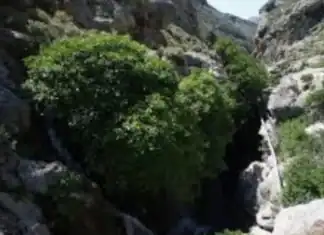 Εγκεφαλικά νεκρή 33χρονη Αμερικανίδα που τραυματίστηκε στο φαράγγι της Πρέβελης