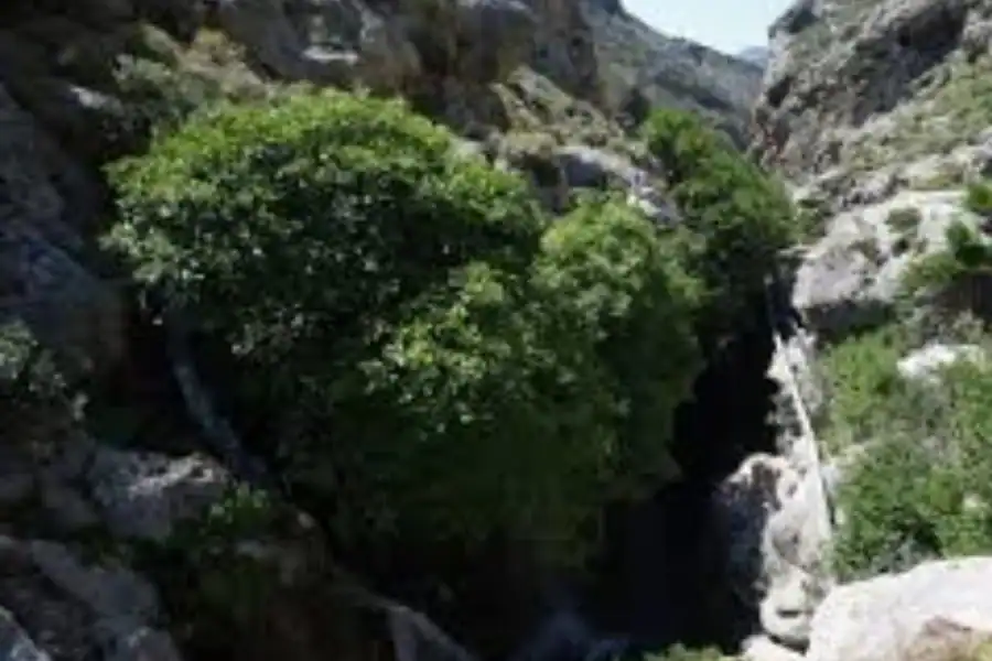 a1f3eb637254f39411f5ce625874e685_L