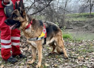 Ο Ε.Ε.Σ. συμμετέχει με διασωστικά σκυλιά και ναυαγοσωστικό ρομπότ με σόναρ στις έρευνες για τον εντοπισμό του 39χρονου στην Λάρισα