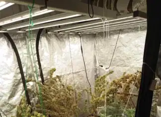 Αυτοσχέδιο εργαστήριο υδροπονικής κάνναβης σε σπίτι στην περιοχή του Αγίου Παντελεήμονα