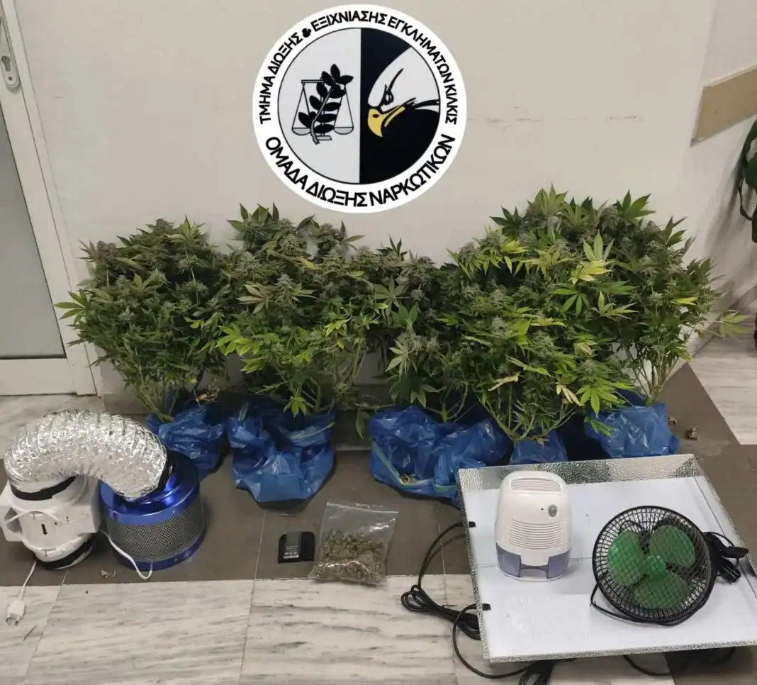 16012025kentrikhkannabi