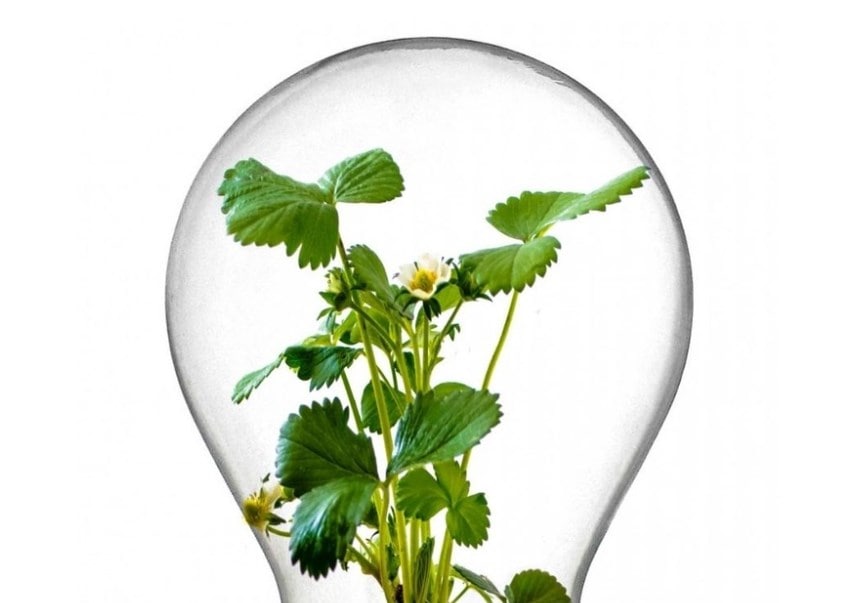 mellon-2025-01-23blog