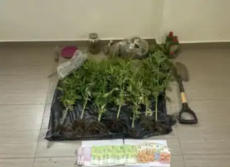 2 άτομα καλλιεργούσαν κάνναβη μέσα στο σπίτι τους στην περιοχή των Αγίων Αποστόλων Καλάμου