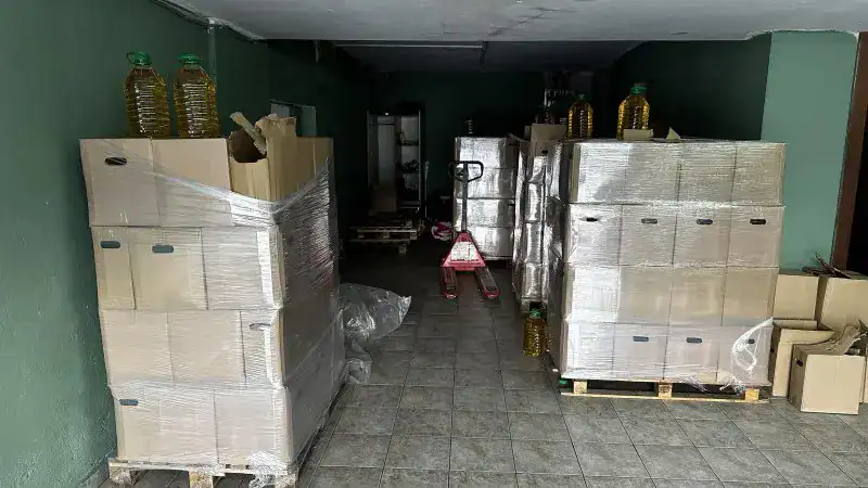 12022025-daoe-elaia-1