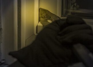 Στα χέρια της αστυνομίας διαρρήκτης με λεία 120.000 ευρώ