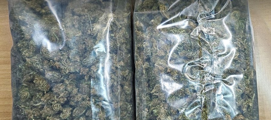 mytilhnh.2e16d0ba.fill-900x400