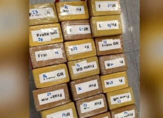 Πειραιάς: Κοντέινερ με γαρίδες έκρυβε φορτίο με 56 κιλά κοκαϊνης – Εντοπίστηκε με ακτίνες x-ray