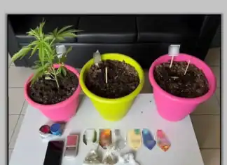 Λάρισα: Άνδρας καλλιεργούσε κάνναβη μέσα στο σπίτι του