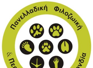 ΠΦΠΟ: Καταγγελία για εμπρησμούς από την παράνομη ρίψη βεγγαλικών και κροτίδων σε Δήμους της Αν.Αττικής