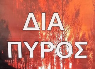 Άσκηση δασικής πυρκαγιάς μεγάλης έκτασης «ΔΙΑ ΠΥΡΟΣ 2025» (βίντεο)