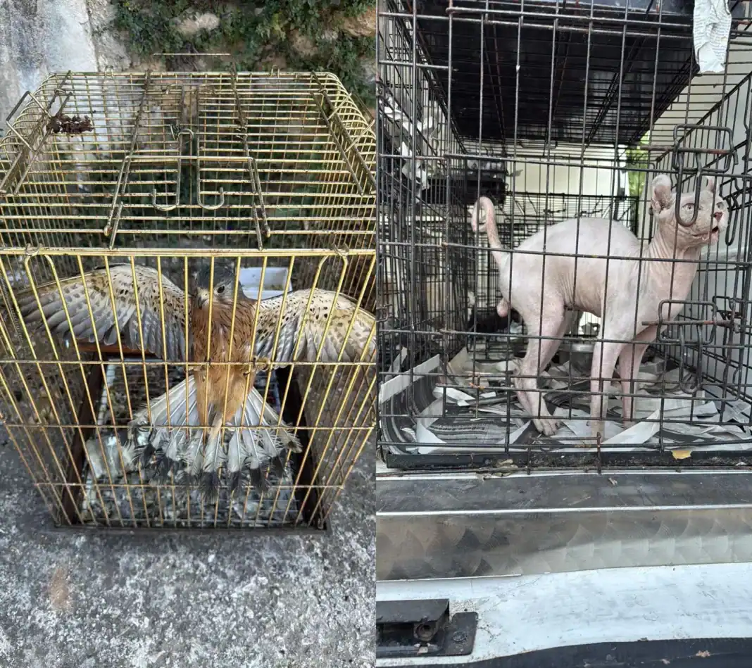 19062025emporiazwwn1