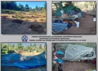 Εντοπίστηκε φυτεία δενδρυλλίων κάνναβης σε δασώδη δύσβατη περιοχή του νομού Καρδίτσας (βίντεο)