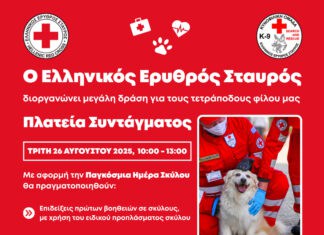 Ο Ε.Ε.Σ. διοργανώνει μεγάλη δράση για τους τετράποδους φίλους μας στην Πλατεία Συντάγματος