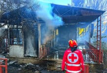 Ελληνικός Ερυθρός Σταυρός: 10 βασικές συμβουλές για προστασία μετά από πυρκαγιά (βίντεο)