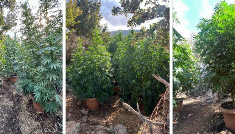 collage-23-e1756372946468-750x430