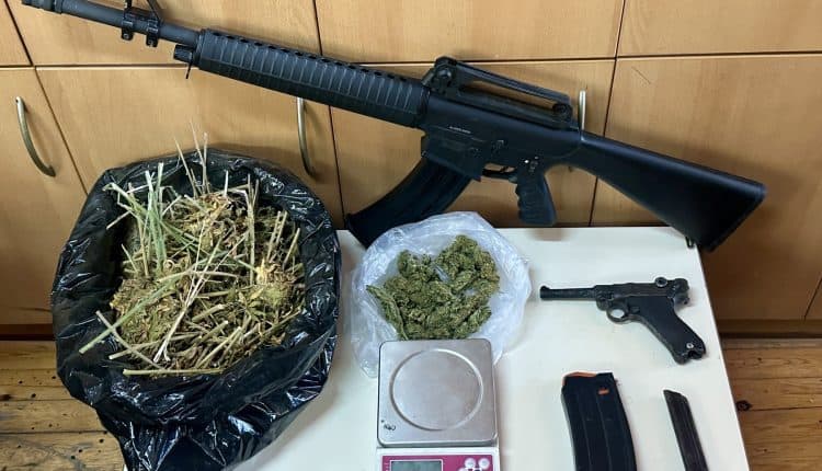 dendryllia-k-opla-2-750x430