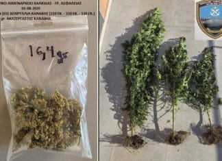 Σύλληψη 60χρονου για ναρκωτικά, στη Χαλκίδα