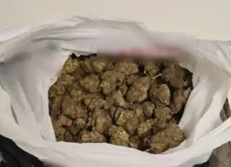 2 συλλήψεις ατόμων από Ομάδες ΔΙ.ΑΣ. για διακίνηση ακατέργαστης κάνναβης στην περιοχή της Κυψέλης