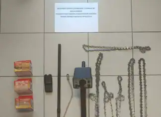 Συνελήφθη 62χρονος για παράνομη υλοτομία κακουργηματικού χαρακτήρα (βίντεο)