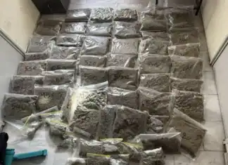 Πάνω από 22 κιλά κάνναβης εντοπίστηκαν σε αποθήκη στο Μαρκόπουλο