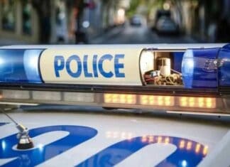 Χανιά: Δύο συλλήψεις για όπλα και ζωοκλοπή