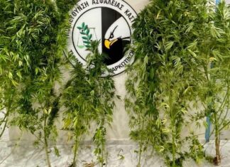 Ο «Ορφέας» ξετρύπωσε τα ναρκωτικά στο σπίτι και το αγρόκτημα 54χρονου