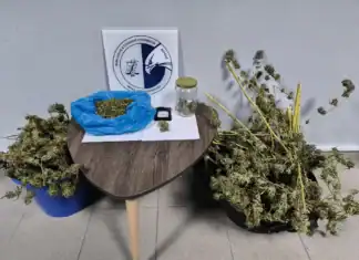 Συνελήφθησαν 3 άτομα στην Ημαθία, σε διαφορετικές περιπτώσεις, για παραβάσεις της νομοθεσίας για τα ναρκωτικά