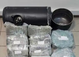 Σύλληψη 41χρονου αλλοδαπού για εισαγωγή στη χώρα 23 κιλών κάνναβης (βίντεο)