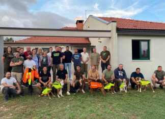 Γιλέκα με καρφιά για κυνηγόσκυλα για να γλυτώνουν από δαγκώματα λύκων!