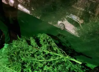 Πλήρως εξοπλισμένο εργαστήριο κάνναβης σε σπίτι στο Γαλάτσι