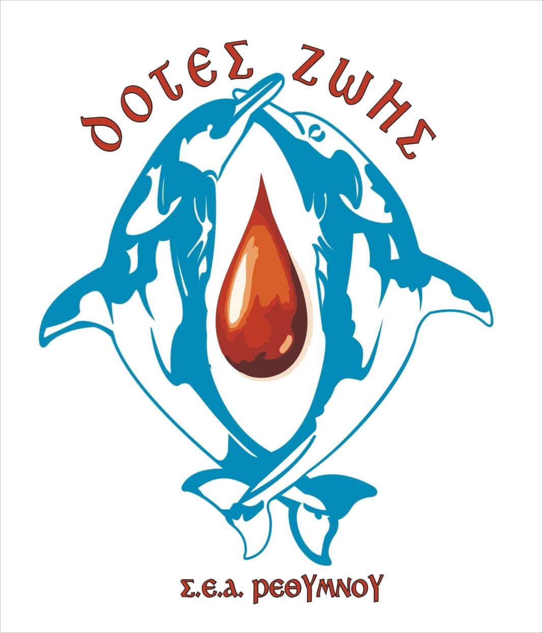 307762410_392460656407369_3961681117220982043_n