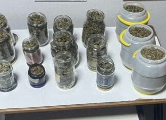 Περίπου 3 κιλά κάνναβη και μικροποσότητες ηρωίνης και κοκαΐνης, κατασχέθηκαν από αστυνομικούς στην Πέλλα