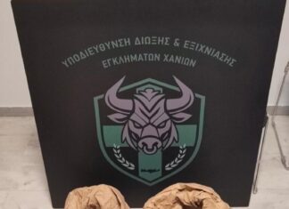 Χανιά: Σε ειδικά διαμορφωμένο χώρο εκριζώθηκαν 130 δενδρύλλια κάνναβης (βίντεο)