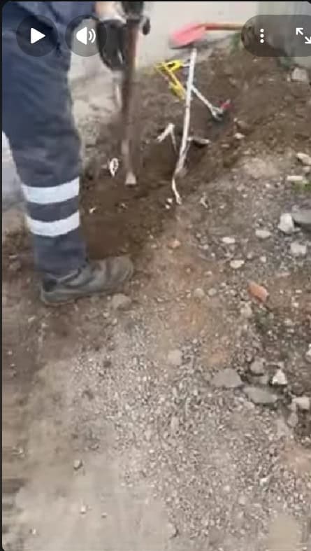 Screenshot 2025-11-19 204300