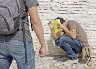 Bullying, ο θύτης