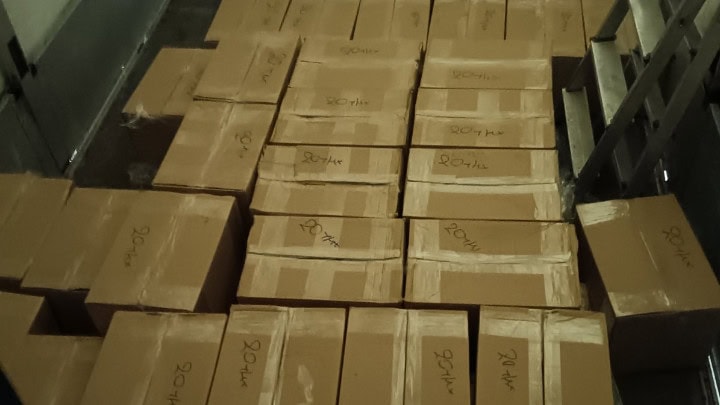 w04-163604IMG5377araxnh