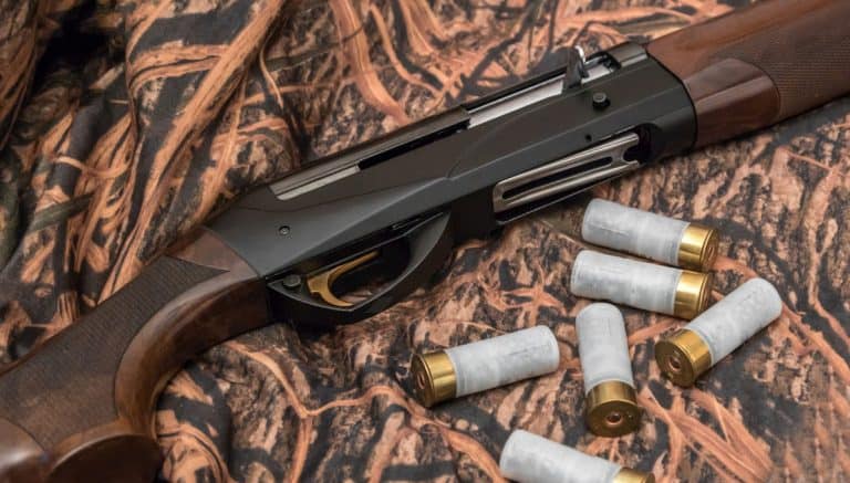 1-a-a1f-np-1-768x437