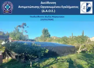 Ρόδος: Εγκληματική οργάνωση καλλιεργούσε δενδρύλλια κάνναβης με τη μέθοδο της υδροπονίας και διακινούσε ακατέργαστη κάνναβη