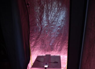 Λασίθι: 42χρονος καλλιεργούσε κάνναβη στο σπίτι του