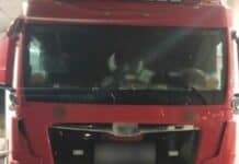 Διακινητής μετέφερε οκτώ μετανάστες στο ρυμουλκούμενο του οχήματός του