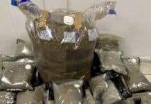 Συνελήφθη ένας άνδρας για διακίνηση ναρκωτικών ουσιών – Κατασχέθηκαν περισσότερα από 16,5 κιλά κάνναβης