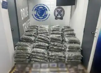 Σύλληψη 3 ατόμων για κατοχή και διακίνηση μεγάλων ποσοτήτων κοκαΐνης και κάνναβης στην ευρύτερη περιοχή της Αττικής (video)