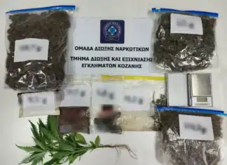 51χρονος σε περιοχή της Κοζάνης καλλιεργούσε δενδρύλλιο κάνναβης και διακινούσε ναρκωτικά