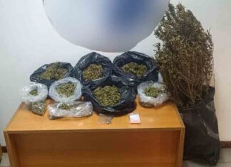 Πάνω από 4 κιλά κάνναβης κατασχέθηκαν από το Τμήμα Δίωξης Ναρκωτικών Καλαμάτας (video)