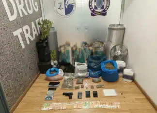 Περιστέρι: Μεγάλο πλήγμα στα κυκλώματα «Skunk» – Χειροπέδες σε δύο άτομα για υδροπονική καλλιέργεια (βίντεο)