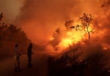 Καμπανάκι Τουρνά για τις πυρκαγιές: «Η καύσιμη ύλη είναι ο μεγάλος κίνδυνος – Δεν περισσεύει κανείς»