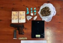 Διπλή σύλληψη στη Σαντορίνη μετά από επιχείρηση της ΕΛ.ΑΣ. – Εντοπίστηκαν ναρκωτικά, όπλα και παράνομη καλλιέργεια κάνναβης (βίντεο)