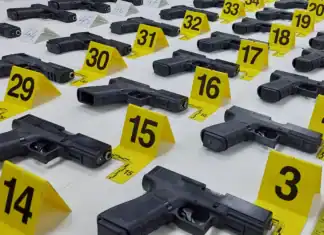 Έβρος: Μπλόκο σε φορτηγό με 50 όπλα «φαντάσματα» – Χειροπέδες σε δύο Τούρκους διακινητές (βίντεο)